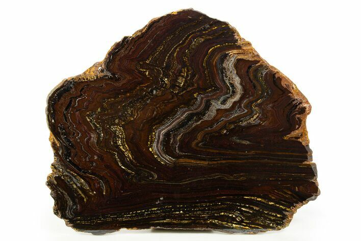 Polished Tiger Iron Stromatolite Slab - Billion Years #317244